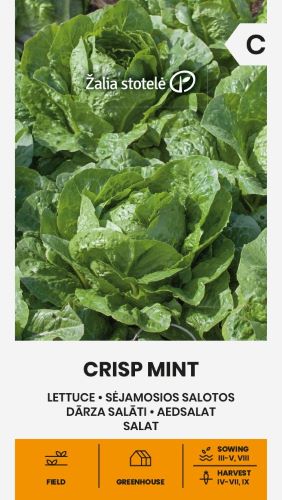 Lettuce Crisp Mint Seeds